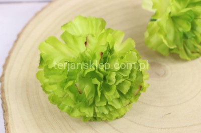 Goździk wyr. satynowy CA960 (20 szt) dk green #29