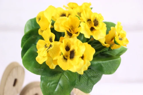 11985.JPG
