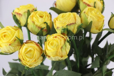 Wiązka róż Charming CA989 (11 szt) lt yellow 