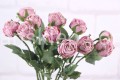 12055.JPG
