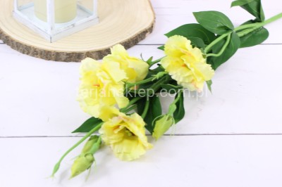 Eustoma gał. SUN345 lt yellow edge pink #1176 A