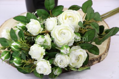 Dzika róża EDEN ROSE (6 gał.) SUN760 white #973 ( j.krem)