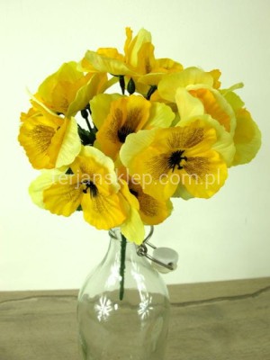 Bukiet bratków J144 / BL055 żółty (2 kolory)