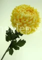 79b046d9bd113e1c12703fdcd9bac93ec2eae513