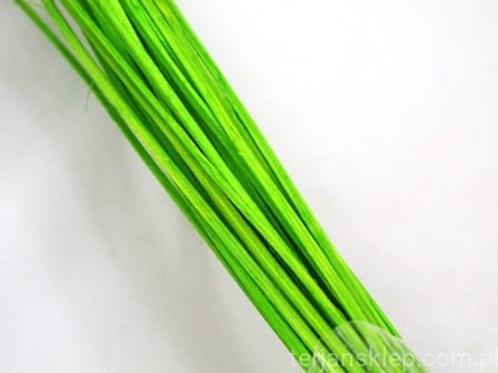 IMG_1447.JPG