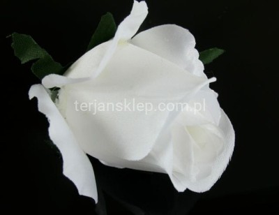 Róża F036 (12 szt) white