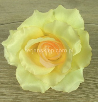 Róża wyrobowa F004 (1 szt) lemon peach #25F12