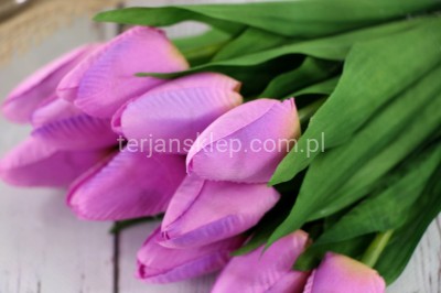 Tulipany pęczek TS001 (12 szt)  j.lila