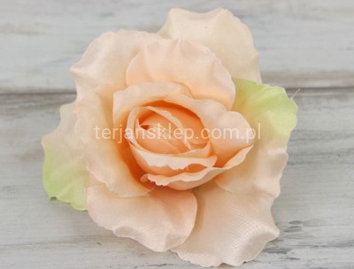 Róża wyrobowa F004 lt peach #1
