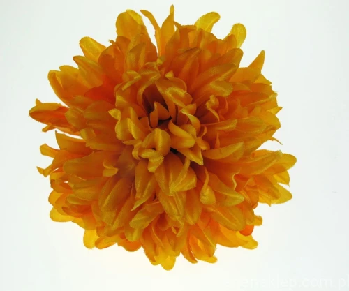 b216ce3582d308f68a3aef1fca37d4df45dfd726