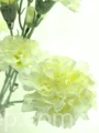 6e9f03be9509c4416de5425563a578c94c46e673
