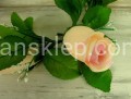IMG_8282.jpg