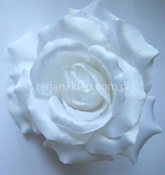 Róża wyrobowa F004 pure white #25F01