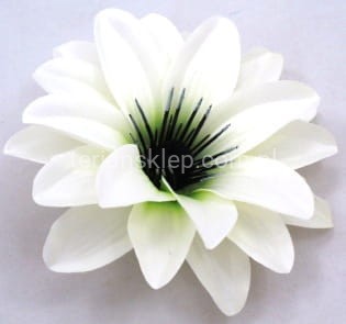 Dalia wyrobowa L016 (12 szt) cream R27