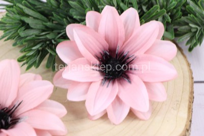 Dalia wyrobowa L016 (12 szt) pink edge (j.pudrowy róż)