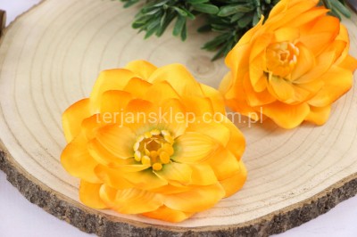 Dalia wyrobowa / nenufar L056 (12 szt) gold yellow (cieniow.)