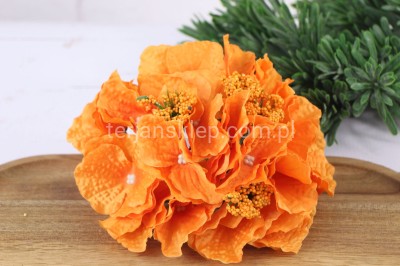 Hortensja J015 / L036 orange #H77 / coffe #R11