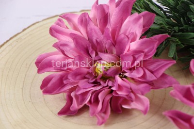 Dalia wyrobowa L046 (12 szt) new aut dk pink #C6029
