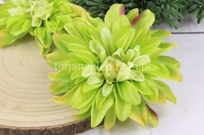 Dalia wyrobowa L046 (12 szt) aut green #J2107