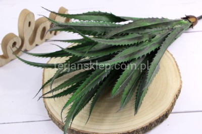 Gęsty bukiet liści agawy CK53 ciemna zieleń cieniowana