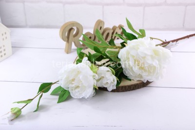 Peonia SUN117 pearl white #2032