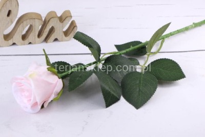 Róża gał. ART004 pearl lt pink #99