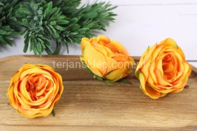 Camelia wyrobowa / pełnik SUN602 (24 szt) tea #2539