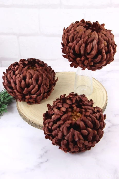13107.JPG