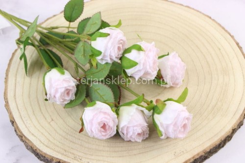 13377.JPG