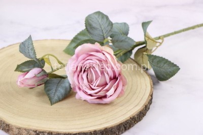 Róża gałązkowa Vintage LLH916 lt pink