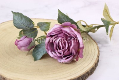 Róża gałązkowa Vintage LLH916 beauty