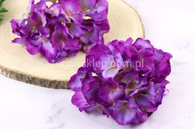 Hortensja wyrobowa SUN644 purple #2787