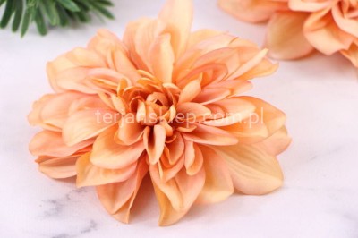Dalia wyrobowa CV23838 (12 szt) pomarańcz #5