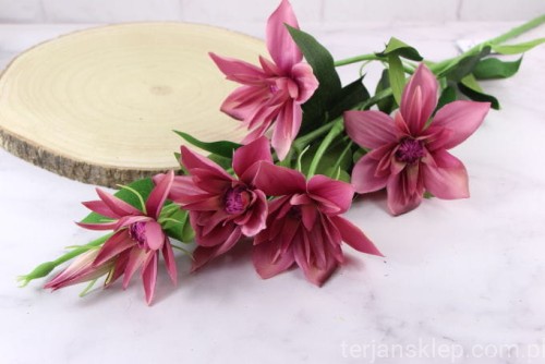 14077.JPG