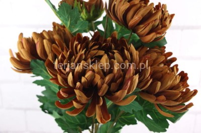 Bukiet chryzantem SUN776 gold brown #ass3
