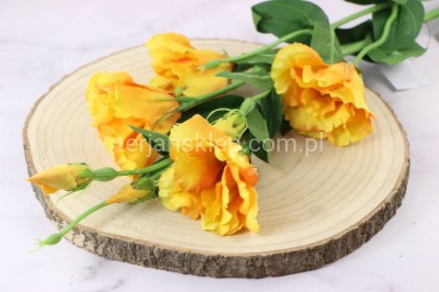 Eustoma gał. SUN345 gold #2893