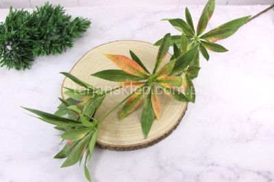 Gałąź Elaeocarpus KLM1100 green orange