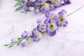 14569.JPG