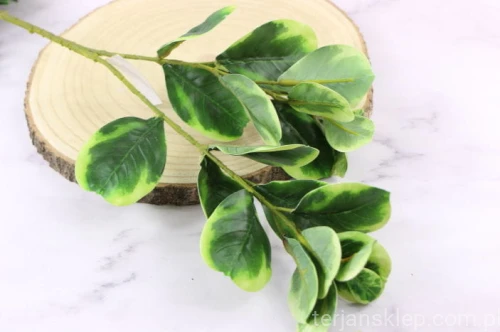 14627.JPG