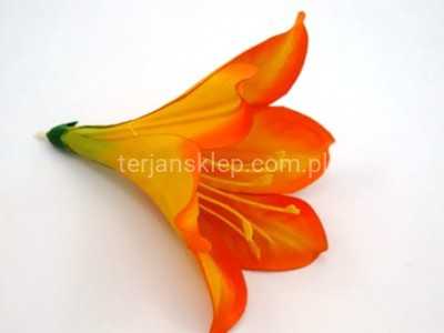 Lilia kielichowa J180 (12 szt) dk orange L15