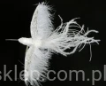 70dda081eb6d5710adc2f89d0e06dc1d13c5a1e8