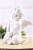 15511.JPG