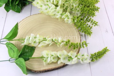 Morucelka gał. L024 (24 szt) cream green