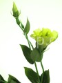adc7d0f16beeb7e6c051d03c7441d10055e253bc