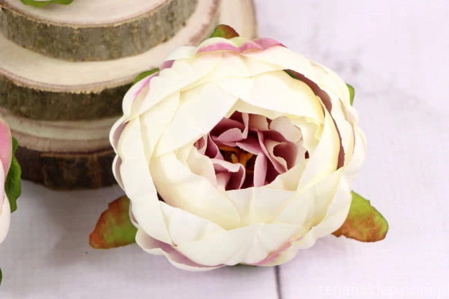 16095.JPG