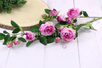 Gałąź dzikiej róży SUN663 pink edge pink #2544