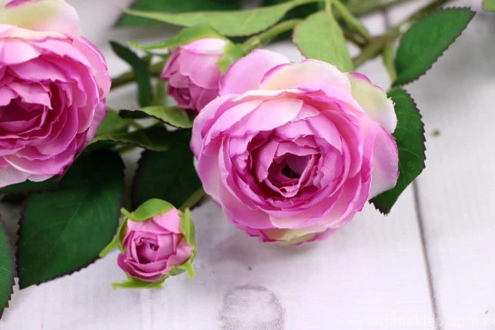 16364.JPG