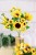 16550.JPG