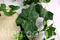 16582.JPG