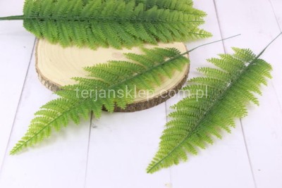 Paproć (liście) CV11682 (12 szt)